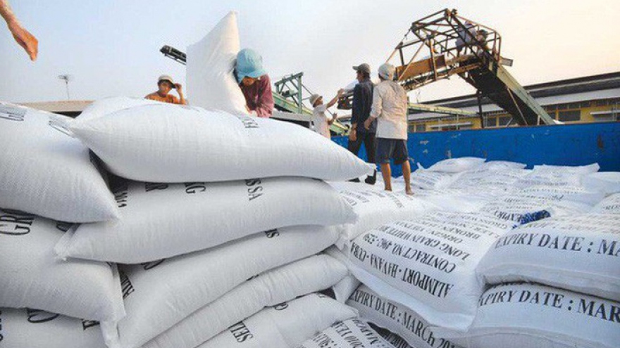 Philippines becomes largest export market for Vietnamese rice