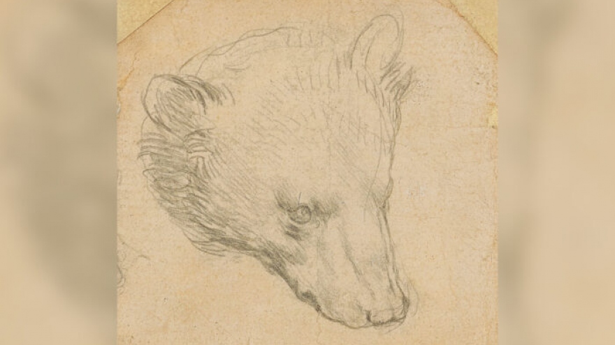 Bức phác họa “Đầu gấu” của Leonardo Da Vinci sắp được rao bán với mức giá kỷ lục