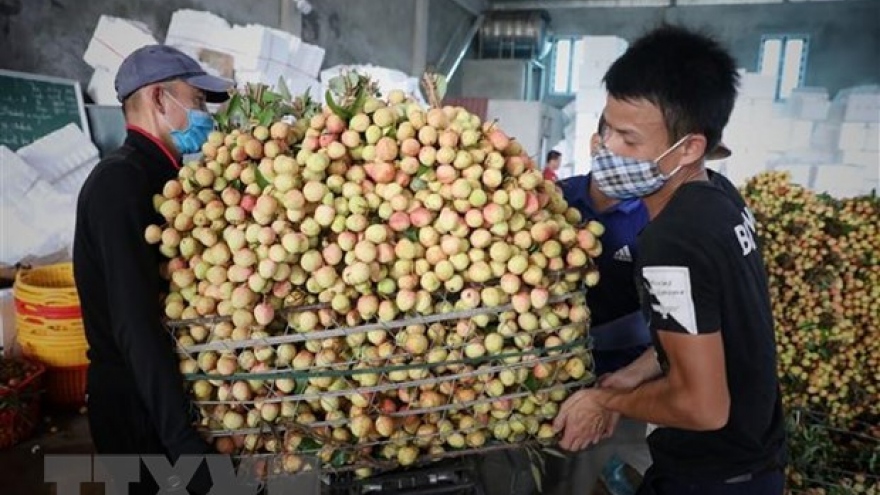 PM orders removing difficulties in farm produce consumption for Bac Giang