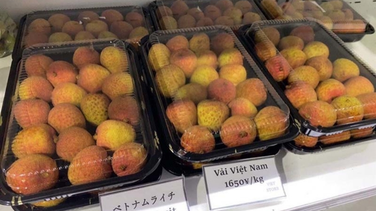 Fresh Vietnamese lychees hit the shelves in Japan 