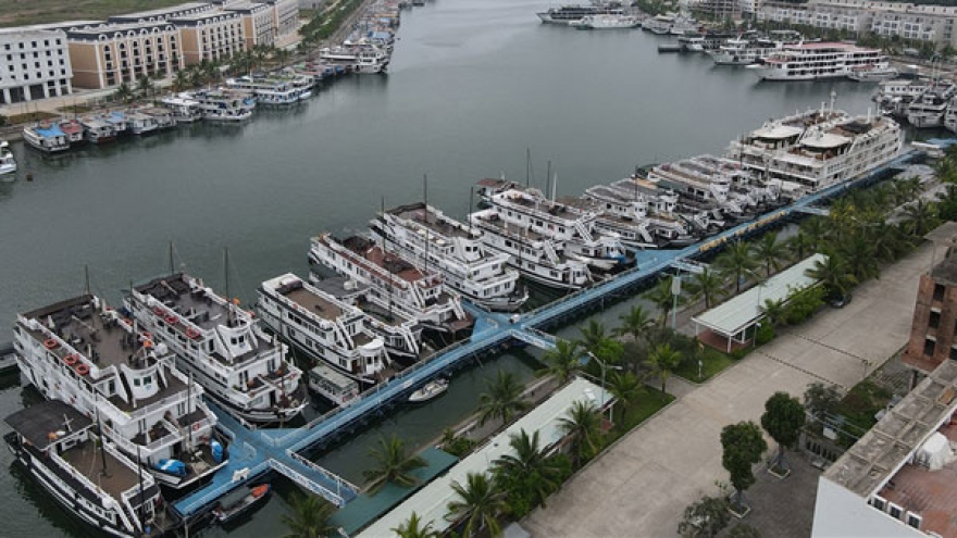 UNESCO-recognised Ha Long Bay falls quiet amid latest COVID-19 wave