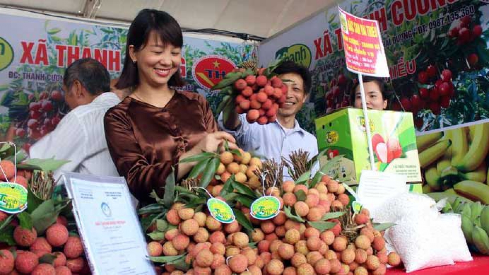 Đa dạng hóa hình thức tiêu thụ vải thiều Thanh Hà 