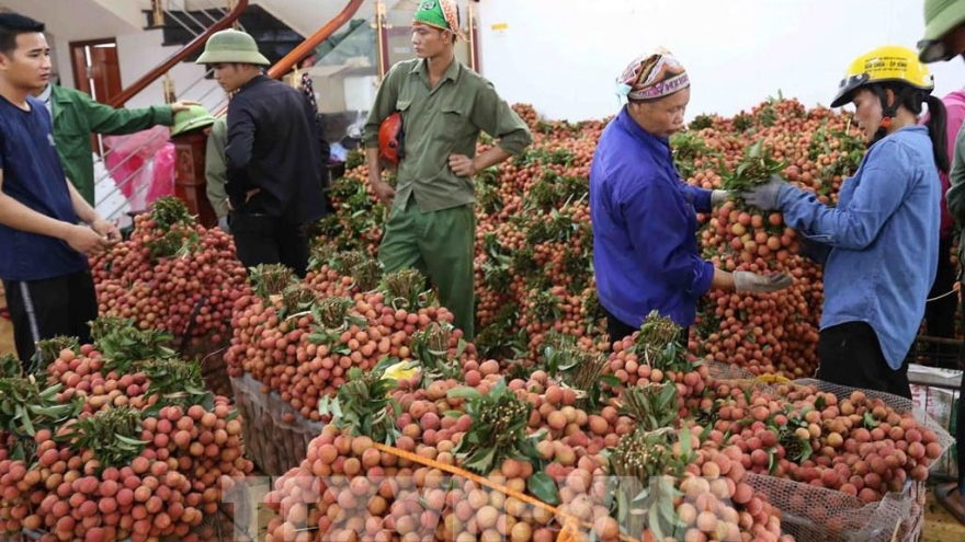 Bộ Công Thương hỏa tốc đề nghị phối hợp xuất khẩu nông sản qua biên giới