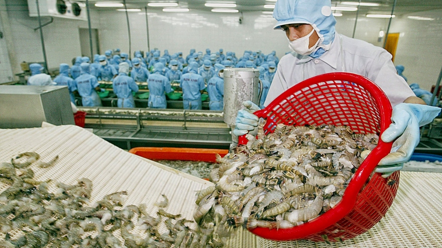 Local shrimp exports enjoy vigorous growth in second quarter