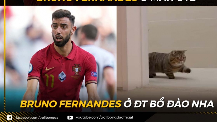 Biếm họa 24h: Bruno Fernandes "hóa mèo" ở ĐT Bồ Đào Nha