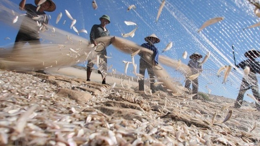 Vietnam bolsters efforts for sustainable development of marine livelihoods