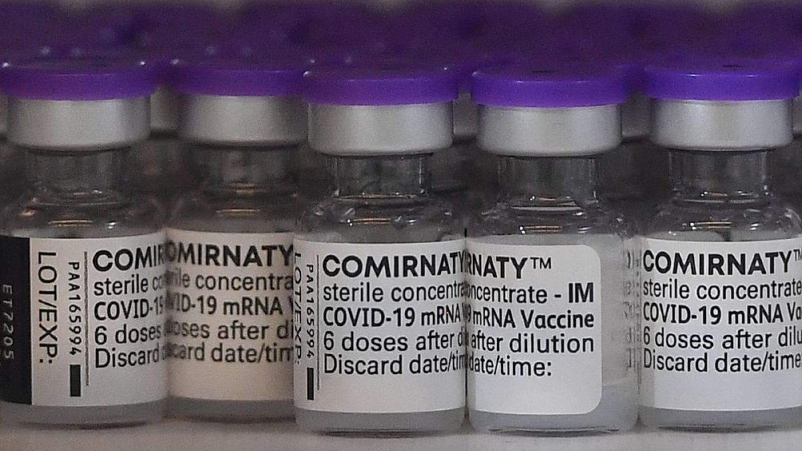Pfizer ngừng vận chuyển bổ sung 1 triệu liều vaccine mỗi tuần tới Ba Lan