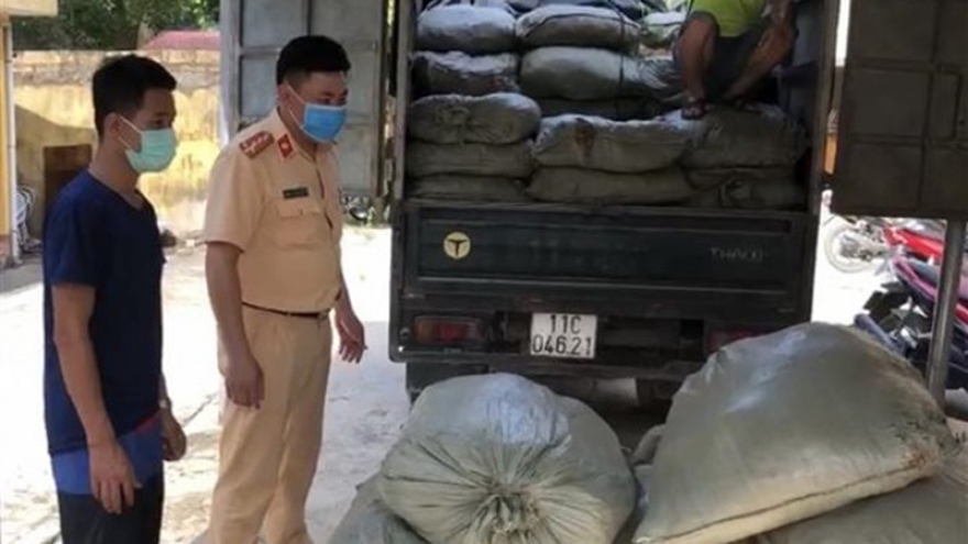 Illegal immigrants detected in Cao Bang, Long An provinces