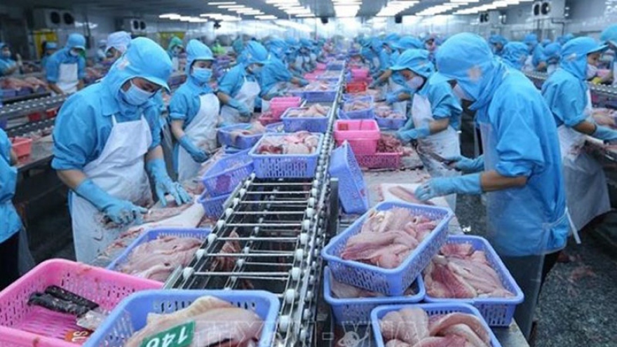 US announces final results of POR16 for Vietnamese tra, basa fish