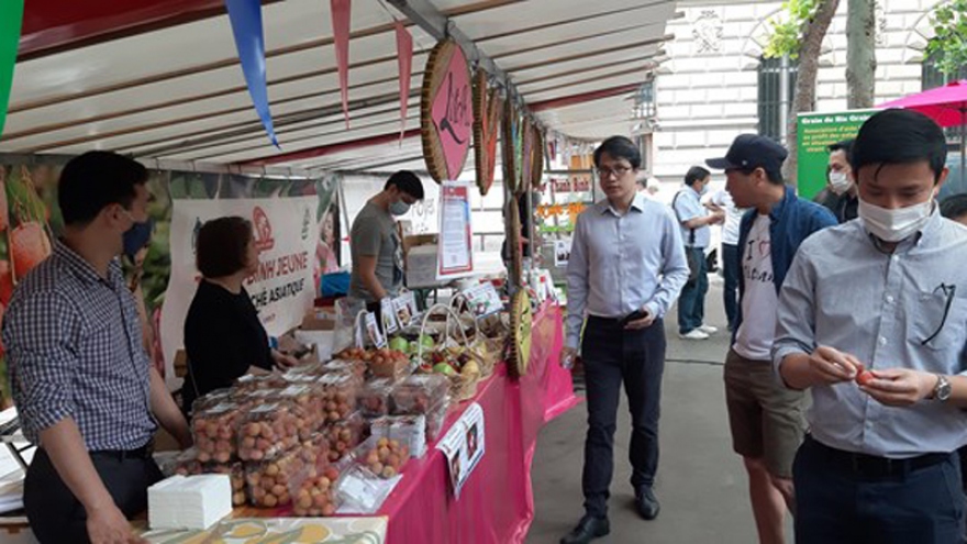 First outdoor Vietnamese cuisine festival held in Paris