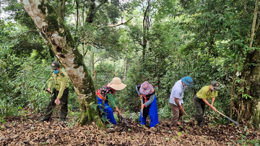 Tà Tổng đã không còn là điểm "nóng" về cây thuốc phiện ở Mường Tè