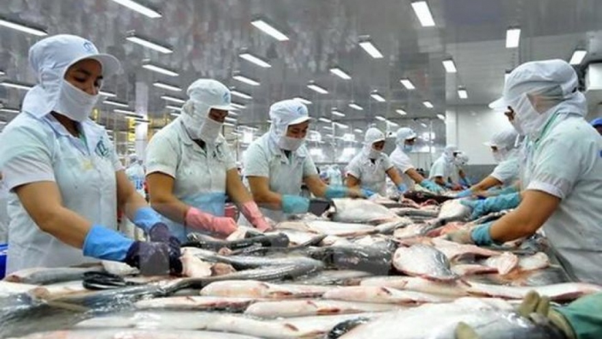 Local pangasius exports to EU plunge over five-month period