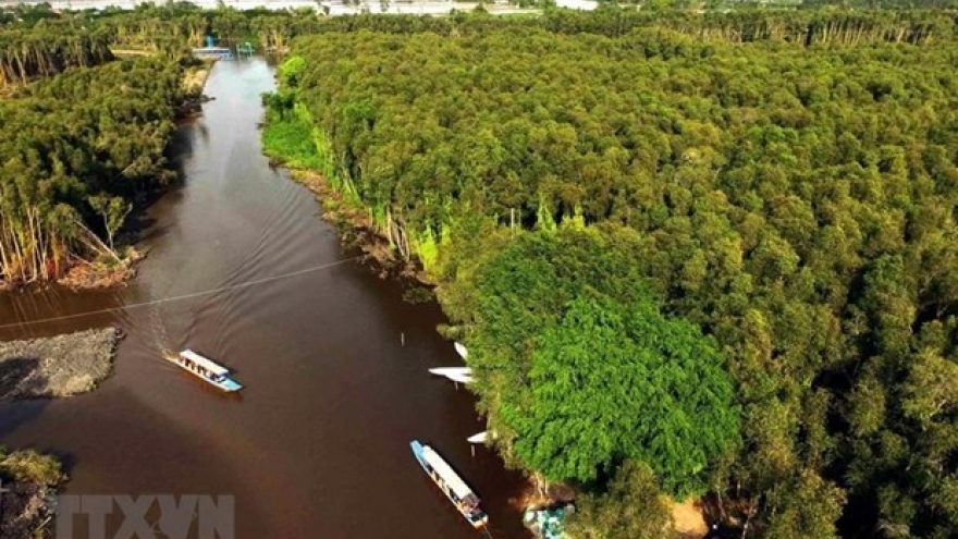 World Environment Day: Vietnam preserving Mekong Delta’s ecosystem