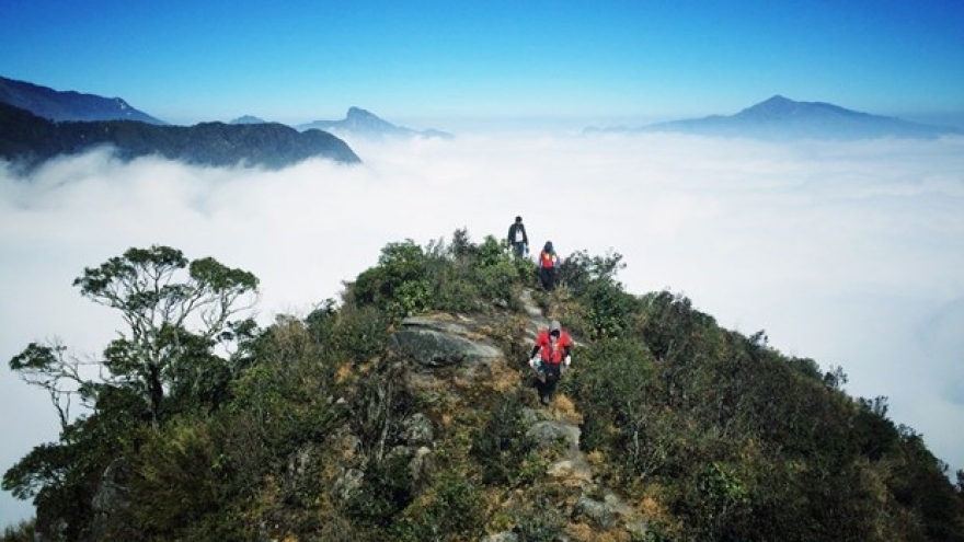 Green growth planning set for tourism sector