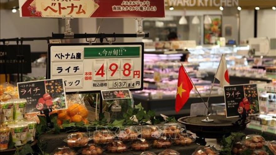 Vietnamese farm produce introduced to Japan