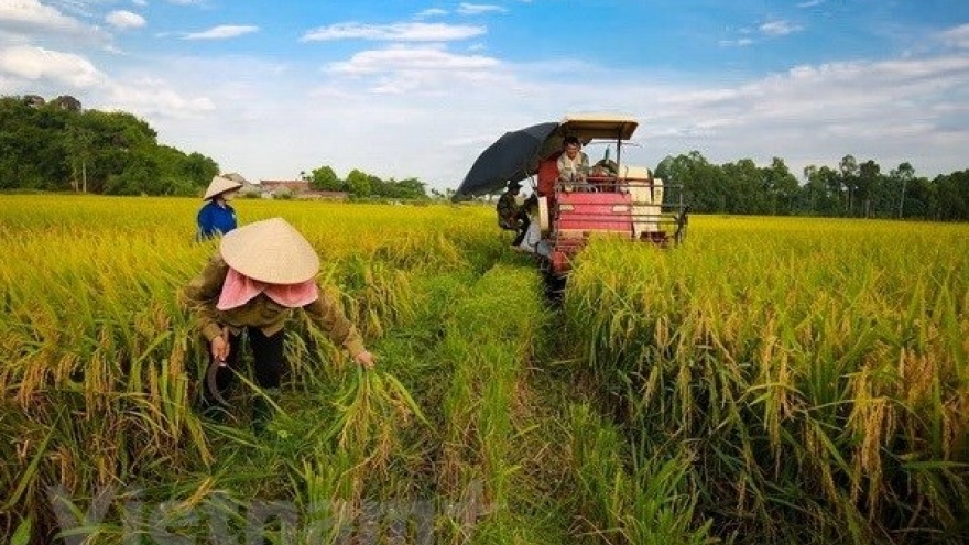 Minister: Vietnam looks towards sustainable agriculture