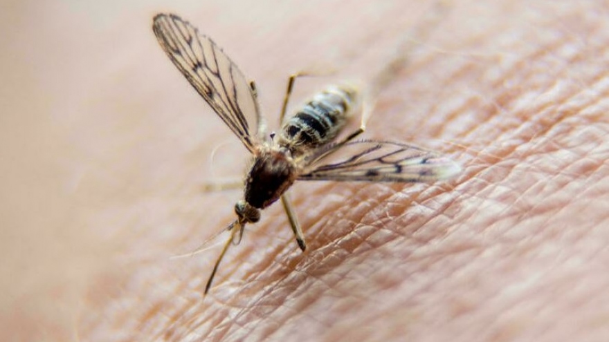 Trung Quốc “xóa sổ” bệnh sốt rét