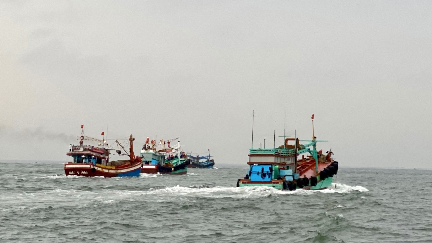 Ngư dân Bà Rịa-Vũng Tàu dương tính, có F1 đã về Quảng Bình và Bình Định