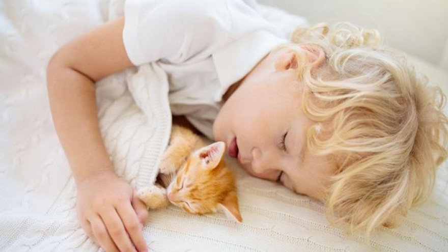 Có nên cho bé yêu ngủ chung với thú cưng?