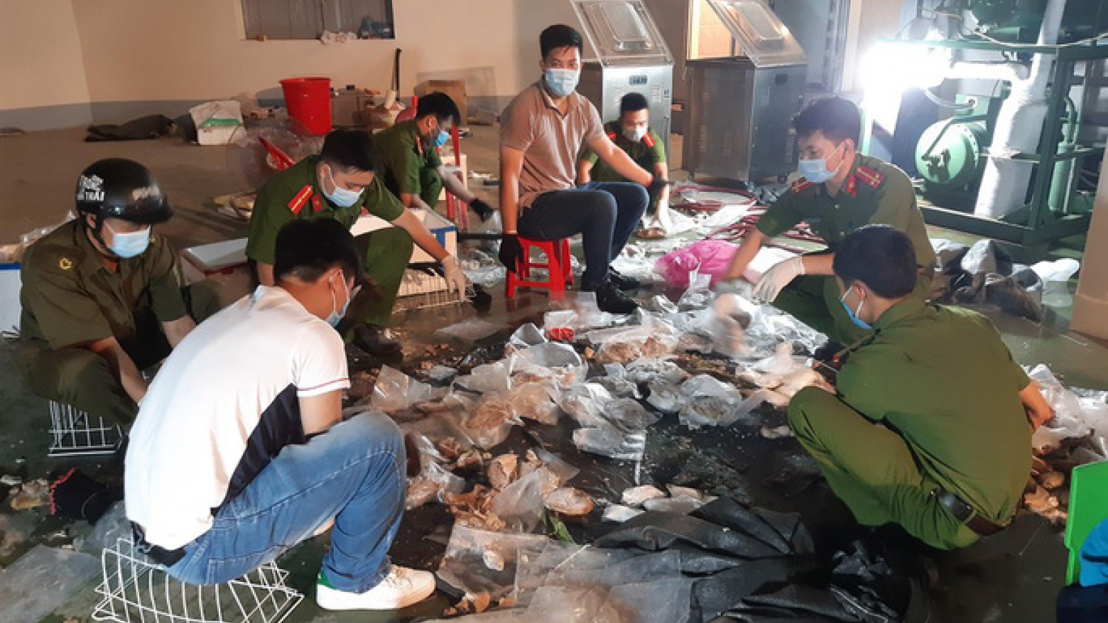 Giấu ma túy vào nội tạng lợn và mô tơ điện để đem sang Trung Quốc
