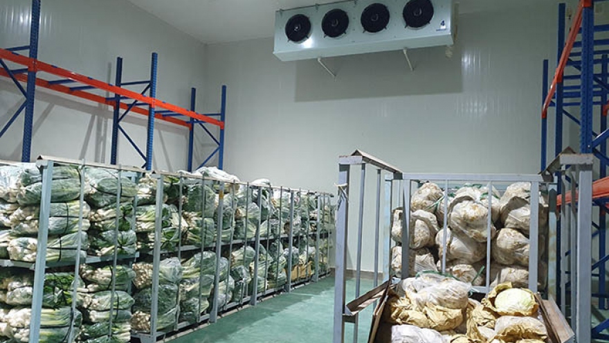 Vietnam faces shortage of cold storage warehouses