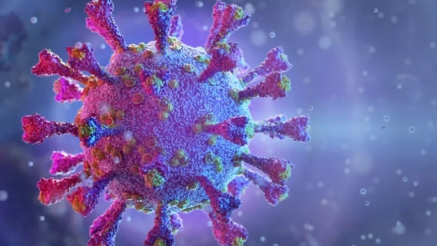 G7 sẽ ra tuyên bố kêu gọi điều tra nguồn gốc virus SARS-CoV-2