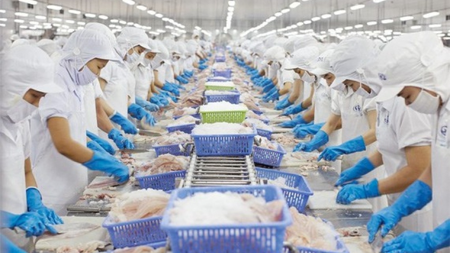 HCM City takes lead for seafood exports over five months