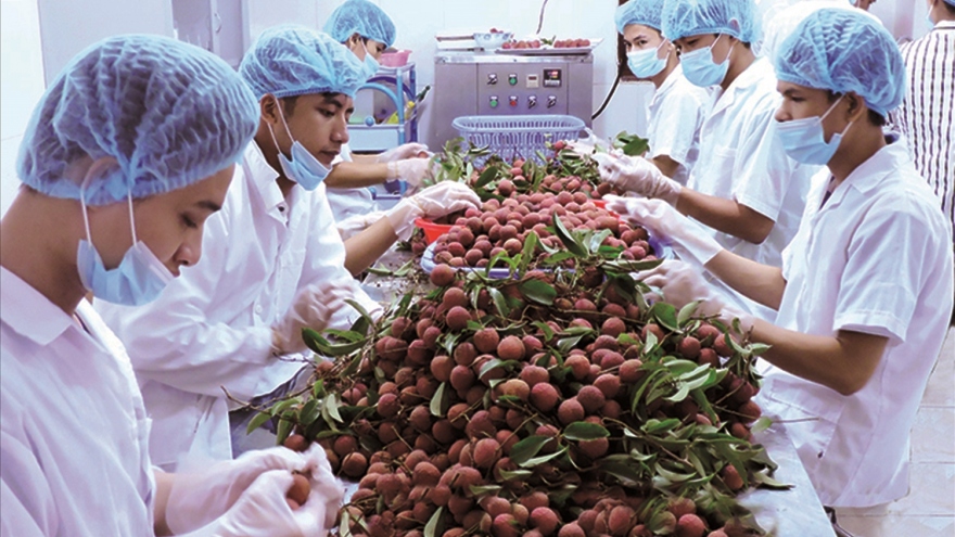 Vietnamese passion fruit, lychees favourites with EU consumers