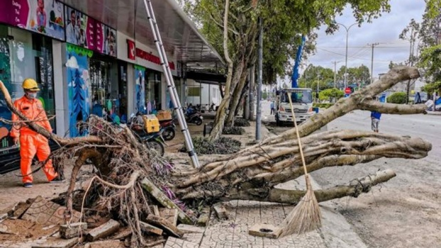 Strong winds, rains kill two in Mekong Delta, destroy houses, trees