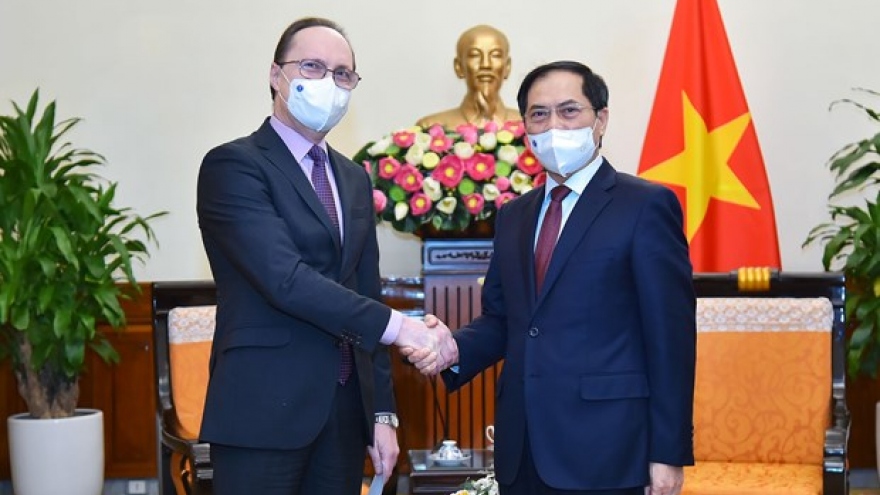 Vietnam treasures comprehensive strategic partnership with Russia: FM