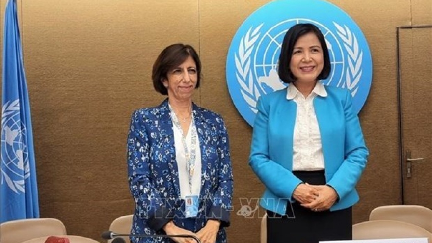 Vietnam elected as vice chair of UNCTAD intergovernmental expert group’s meeting