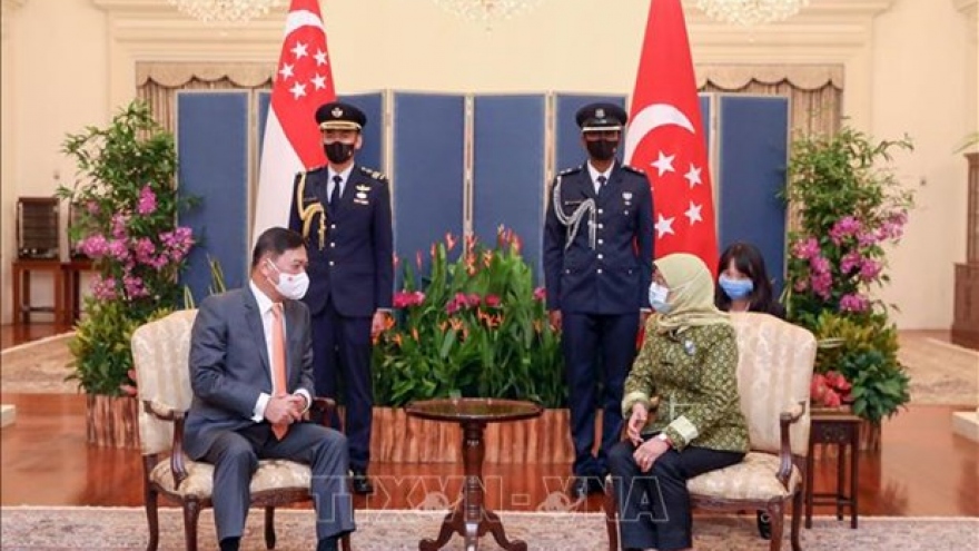 Singaporean President delighted at development of ties with Vietnam