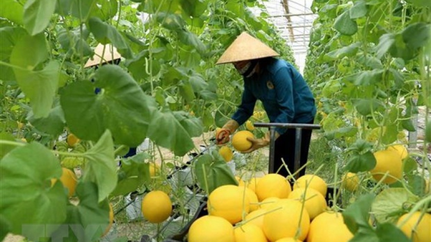 Australia helps Vietnam develop hi-tech agriculture