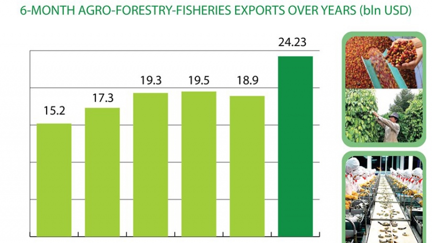 Agro-forestry-fisheries exports surpass US$24 billion in H1