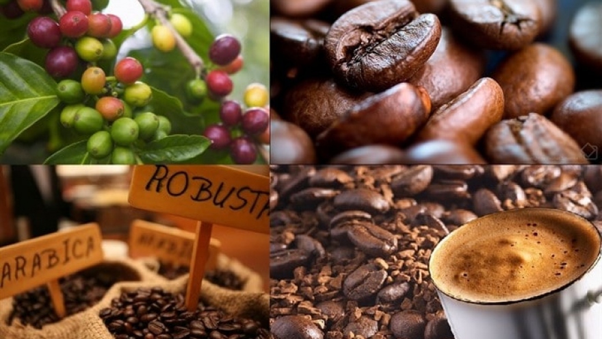 Coffee export prices enjoy surge in major markets