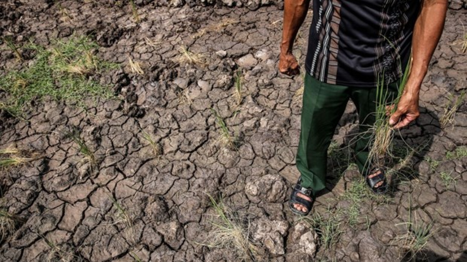 Training course raises awareness of climate change in coastal areas