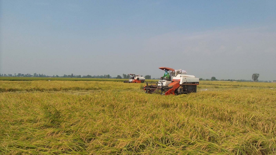 Cách làm hay của An Giang hỗ trợ nông dân thu hoạch, tiêu thụ lúa