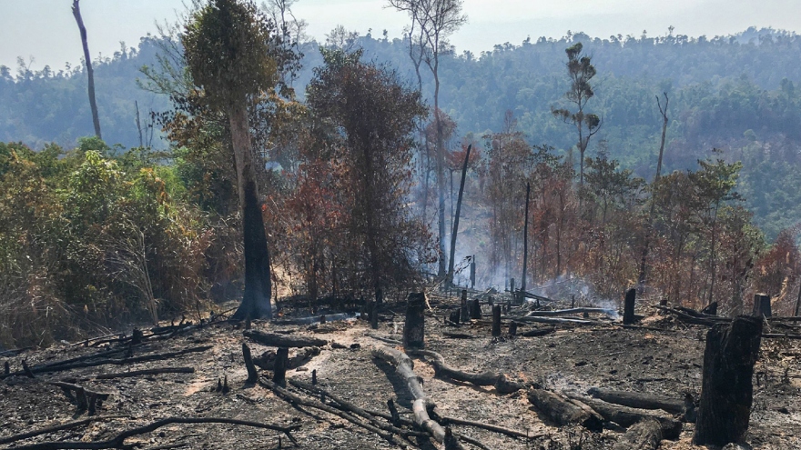 Phá rừng, chiếm đất tràn lan tại Đắk Lắk: Buông lỏng quản lý, xử lý chưa nghiêm