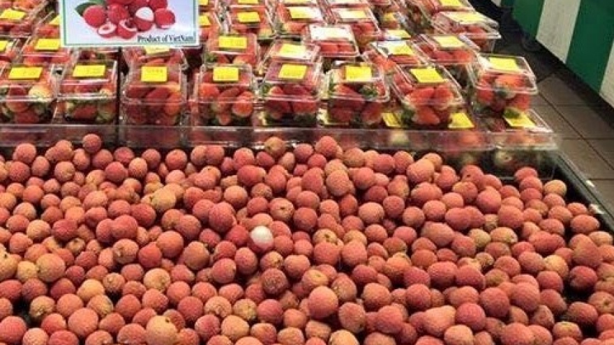 Vietnamese firms urged to file for IP protection in foreign markets