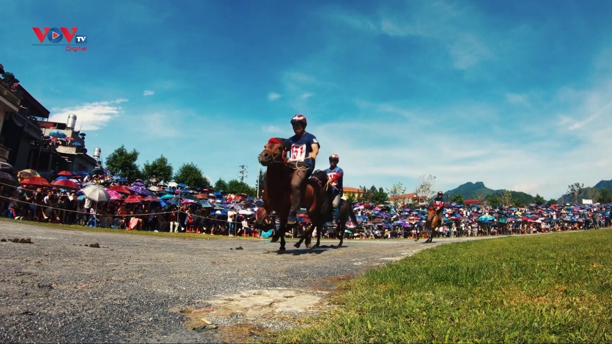 Lễ hội đua ngựa Bắc Hà - nét văn hóa đặc sắc vùng Tây Bắc