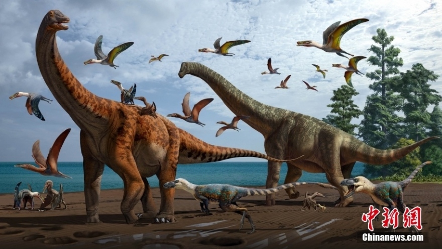 Trung Quốc lần đầu tiên phát hiện hóa thạch khủng long khổng lồ