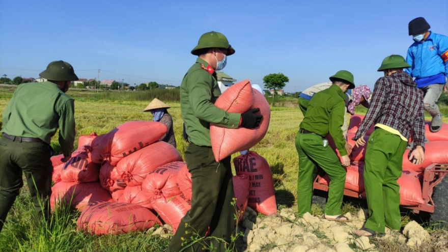 Công an vừa phòng dịch vừa giúp dân thu hoạch lúa