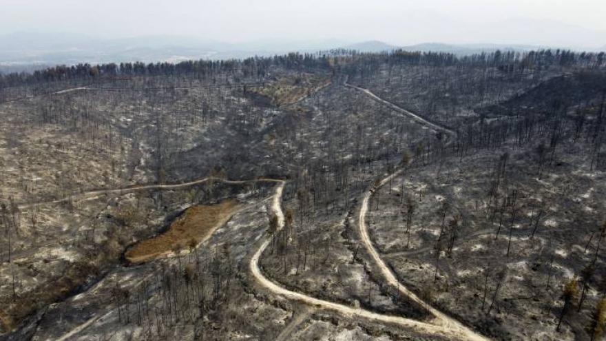 Cháy rừng Hy Lạp: Thảm họa sinh thái lớn nhất trong nhiều thập kỷ