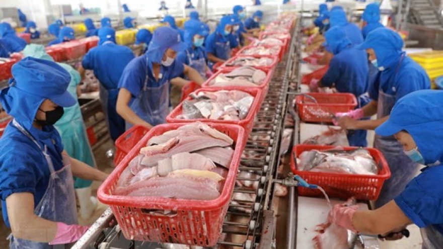Aquatic product exports drop strongly in first half of August