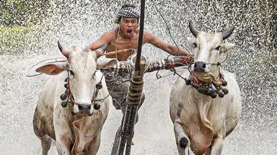 10 Vietnamese photos honoured on Instagram