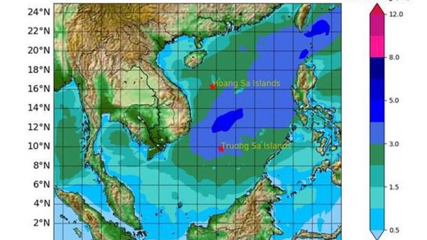 Ứng phó với áp thấp nhiệt đới trên khu vực Bắc Biển Đông