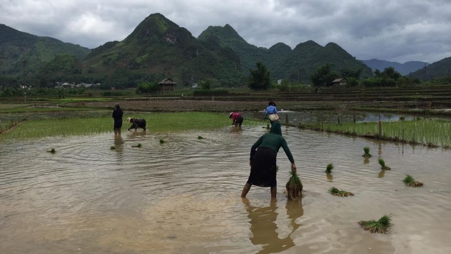 Trở lại “lãnh địa ma túy” Thôm Mòn, Sơn La