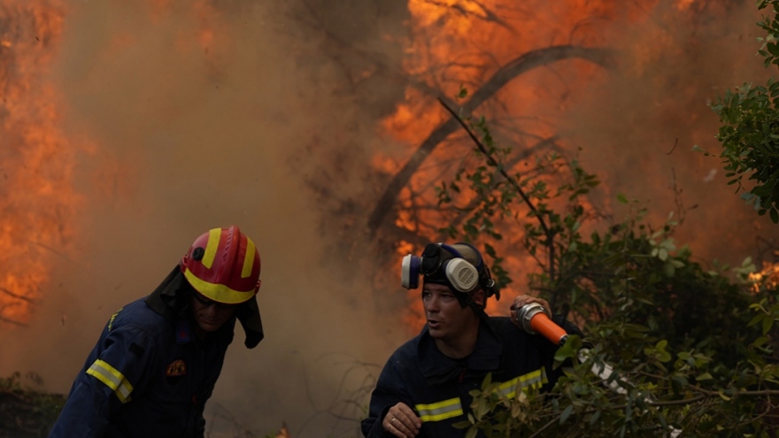 Thủ tướng Hy Lạp xin lỗi người dân vì xử lý chậm trễ thảm họa cháy rừng