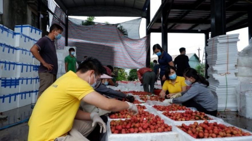 Vietnam aims to connect 5 million farming households to e-commerce platforms