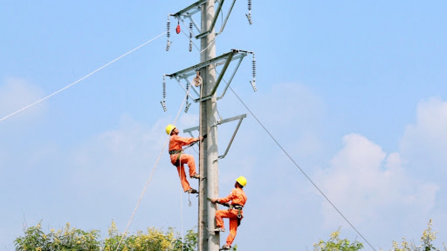 Giảm giá điện cho 3 nhóm khách hàng là doanh nghiệp chế biến thủy sản, rau quả xuất khẩu